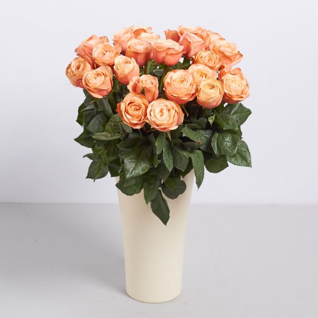 Голландская роза "Кахала"
